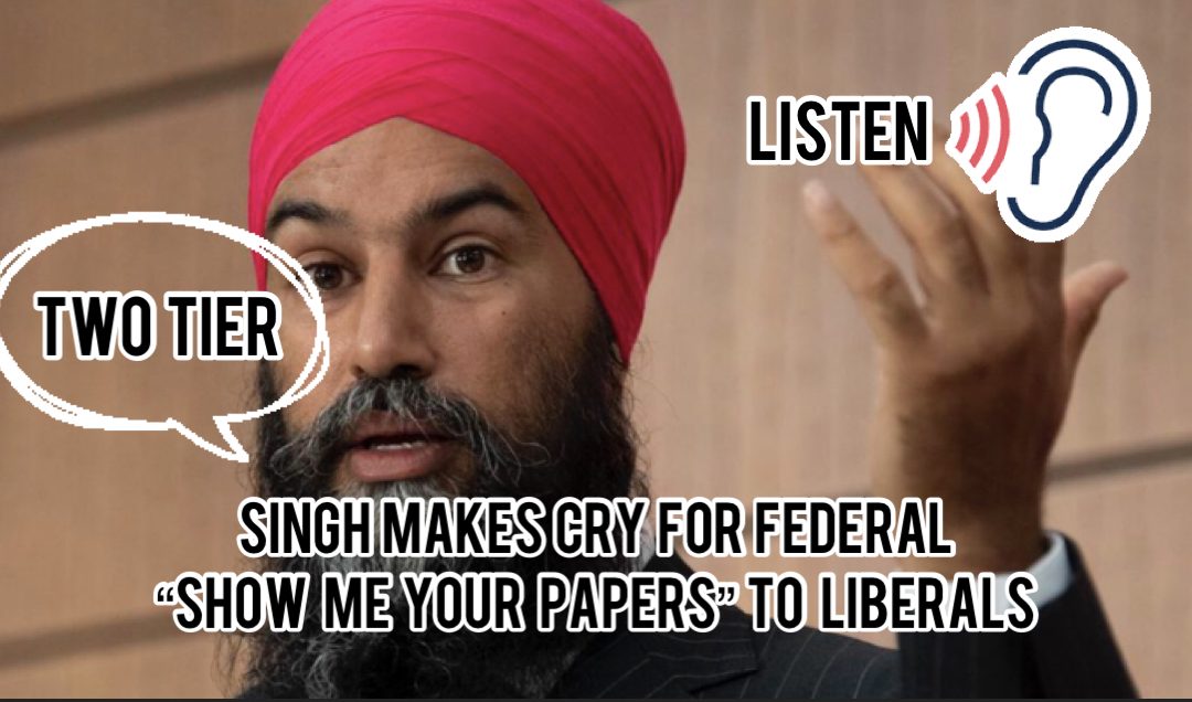 LISTEN: Jajmeet Singh makes cry for “SHOW ME YOUR PAPERS” two tier system to liberals.