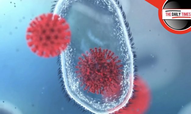 WATCH: Learn the reality about MRNA treatments and why you should be asking questions.