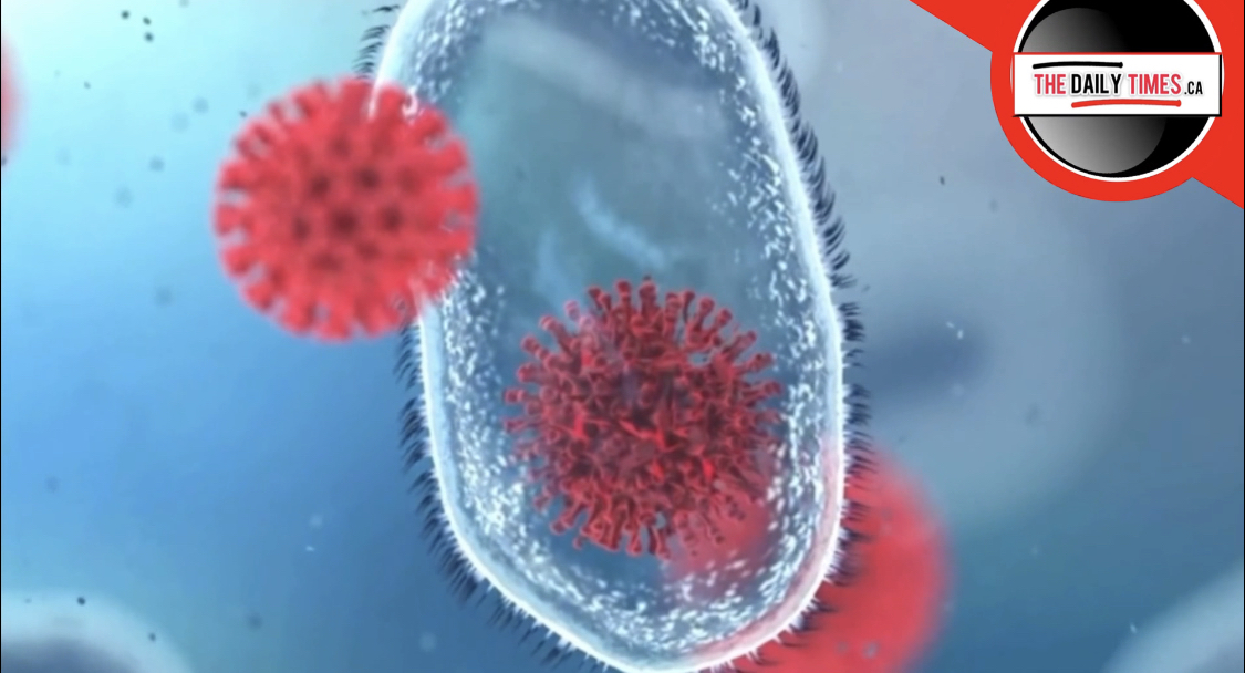 WATCH: Learn the reality about MRNA treatments and why you should be asking questions.