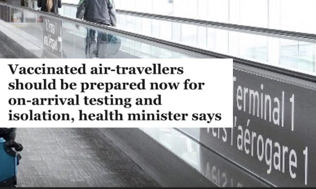 Vaccinated air-travellers should be prepared now for on-arrival testing and isolation, health minister says