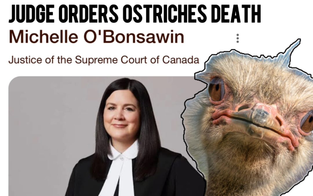 Justice Michelle O’Bonsawin’s Cowardly Ostrich Burial: Supreme Court Ducks Duty, Dooms Innocent Birds to Bureaucratic Massacre