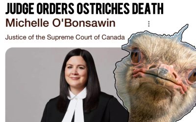 Justice Michelle O’Bonsawin’s Cowardly Ostrich Burial: Supreme Court Ducks Duty, Dooms Innocent Birds to Bureaucratic Massacre