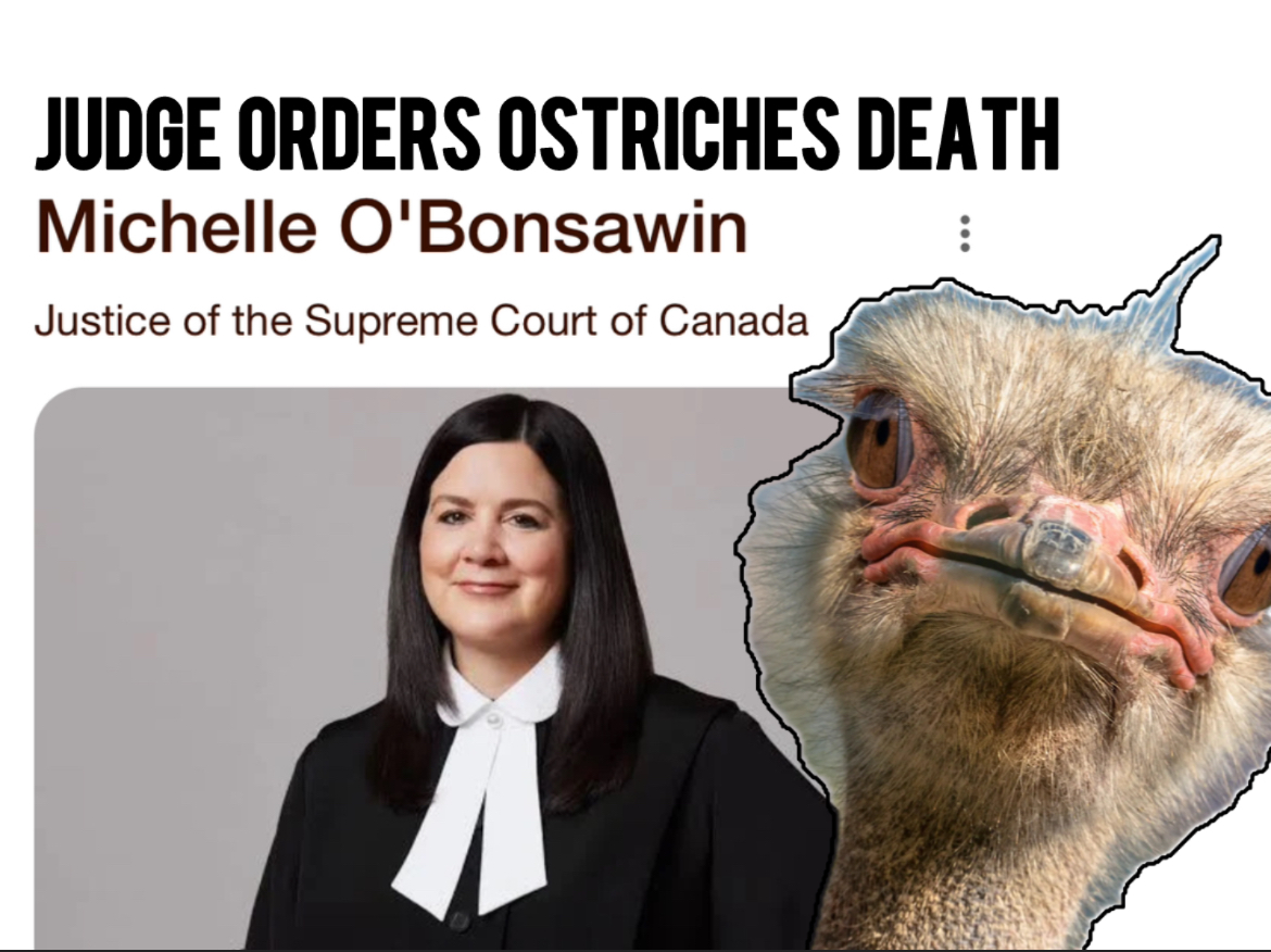 Justice Michelle O’Bonsawin’s Cowardly Ostrich Burial: Supreme Court Ducks Duty, Dooms Innocent Birds to Bureaucratic Massacre