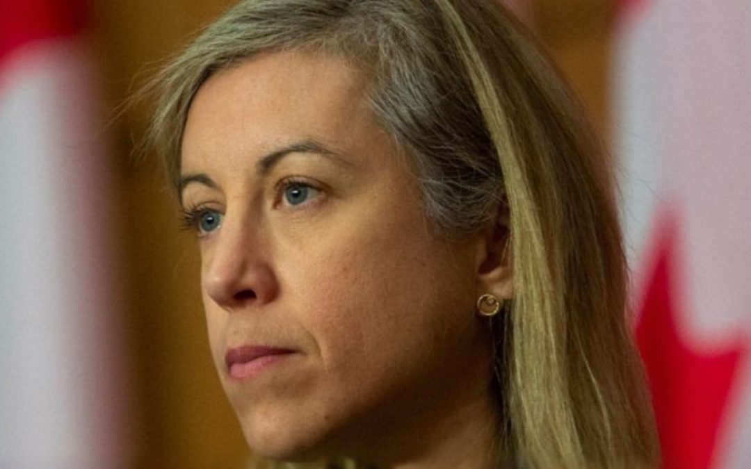 Christiane Fox The Corrupt Deputy Minister Caught In Brazen Cronyism And Ethics Breach With Zero Remorse