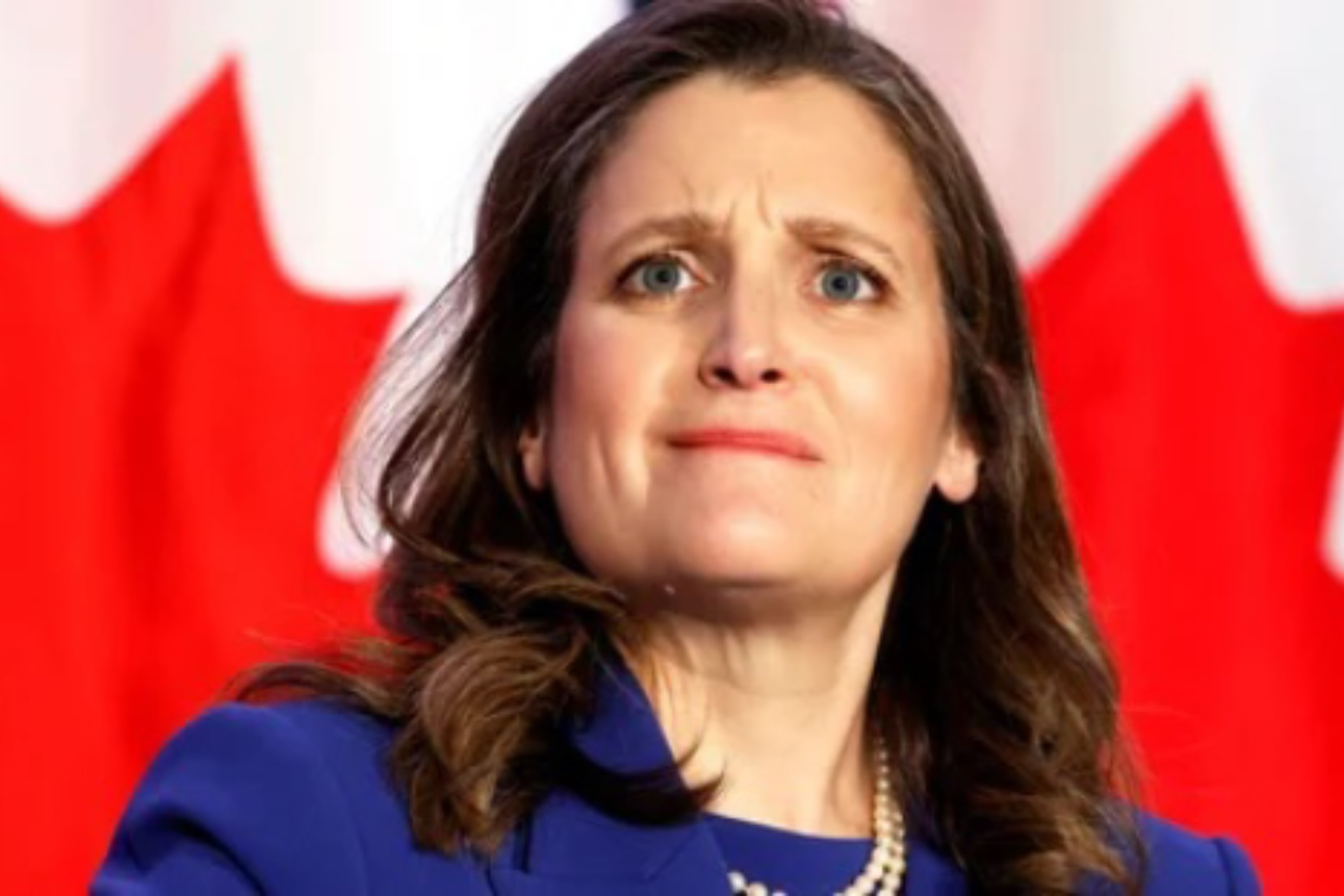 Freeland’s illegal convoy blacklist of names, numbers emailed unencrypted to thousands of private firms.